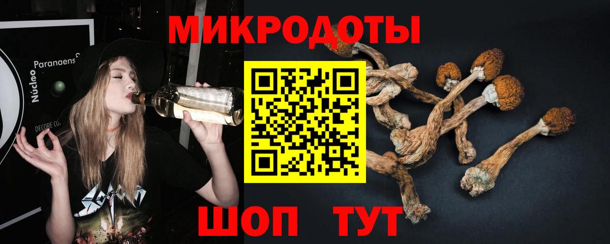 Жуковский  Псилоцибиновые грибы MAGIC MUSHROOMS  Вход с VPN 